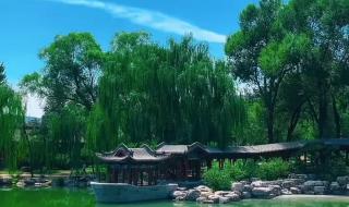 青山不老的课堂笔记