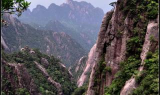 青山不老的课堂笔记