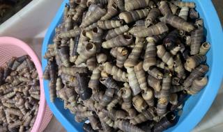 北海哪里吃海鲜便宜