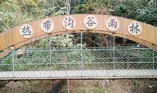 世界上最恐怖的孔雀