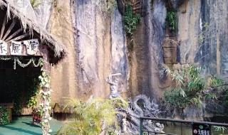 世界上最恐怖的孔雀